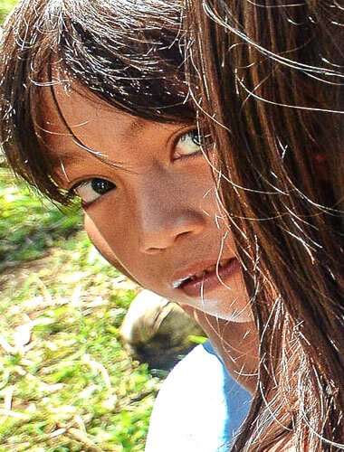 Gallery 002 Free Img